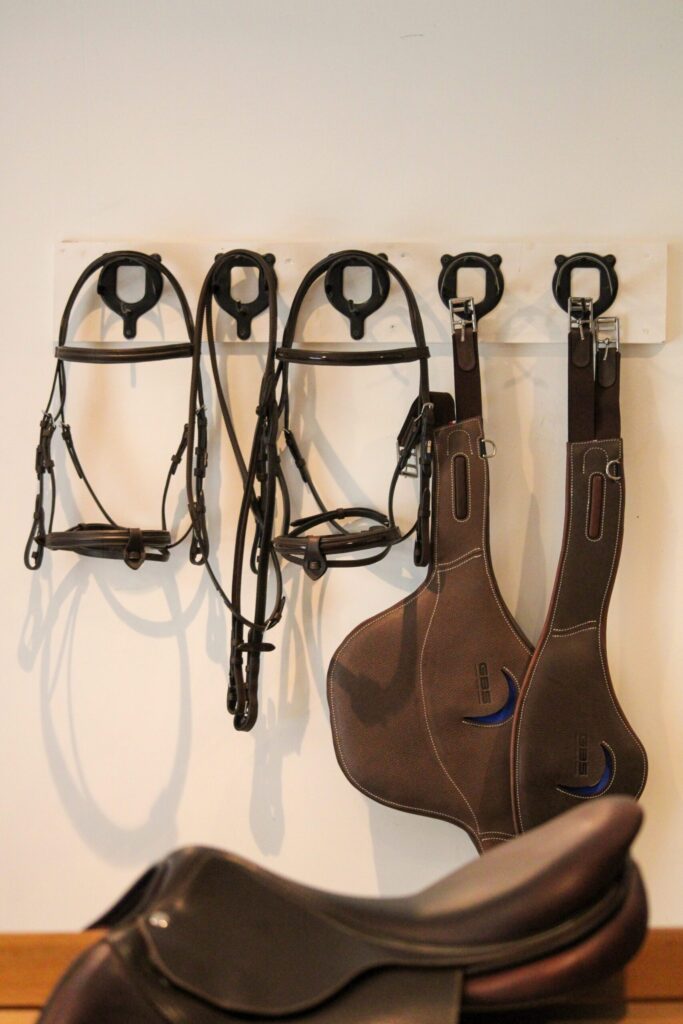 Bridon et sangles GBS Sellier en cuir