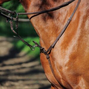 Martingale GBS Sellier couleur chocolat installée sur un cheval