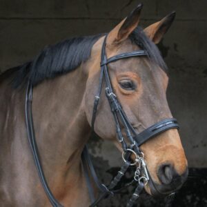 Bride de dressage GBS Sellier en cuir noir