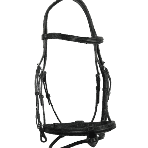 Bridon anatomique GBS Sellier – confort et élégance