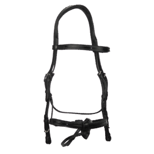 Bridon anatomique verni GBS Sellier – confort et élégance