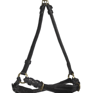 La muserolle allemande GBS, au design épuré et fonctionnel, est disponible en cuir noir avec des finitions en laiton.